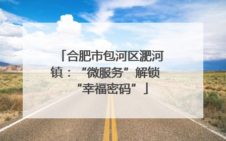 合肥市包河区淝河镇：“微服务”解锁“幸福密码”